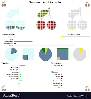 Cherry nutrient information vector image