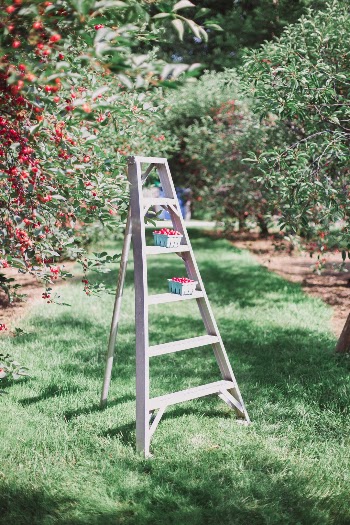 Cherry Picking
