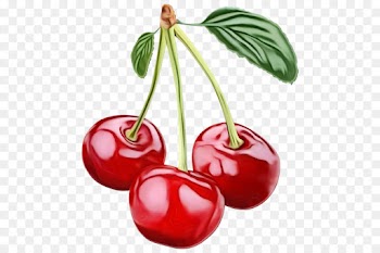 cherry plant fruit natural foods food