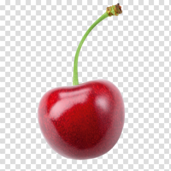Cherry PNG Pic