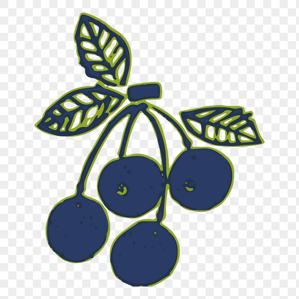 Cherry png sticker, fruit illustration, | Free PNG - rawpixel