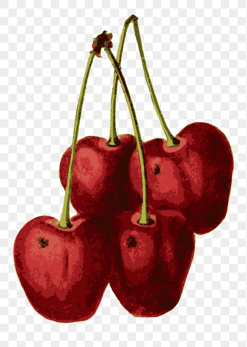 Cherry png sticker illustration, transparent | Free PNG - rawpixel