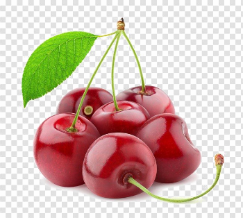 Cherry PNG Transparent Image