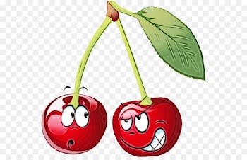 cherry red plant fruit clip art