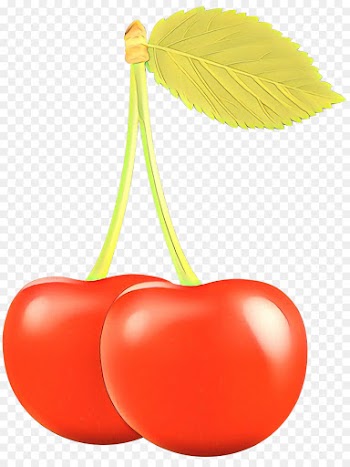 cherry red plant fruit leaf