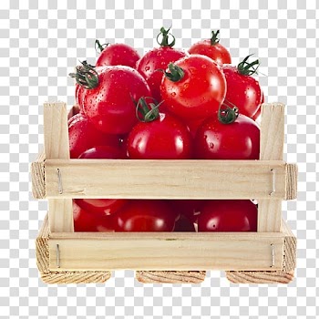 Cherry tomato Free Fruits Vegetable Auglis, Fresh little tomatoes transparent background PNG clipart