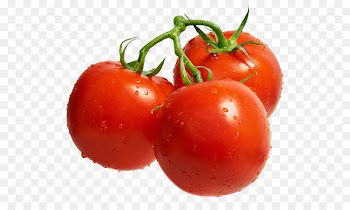 Cherry tomato Lecsxf3 Cultivar Auglis Fruit - Fresh tomatoes 