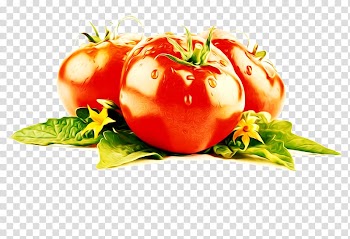 Cherry tomato Lycopene Vegetable Tomato extract, tomato transparent background PNG clipart
