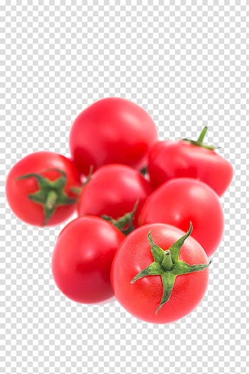 Cherry tomato Plum tomato Vegetable Bush tomato, tomato transparent background PNG clipart