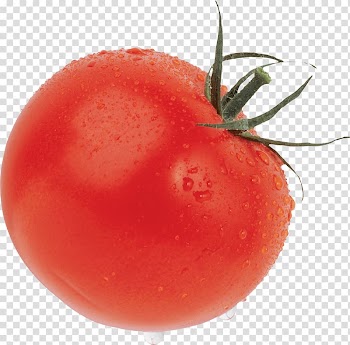 Cherry tomato Raw foodism Vegetable, Tomato transparent background PNG clipart