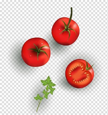 Cherry tomato Vegetable Drawing Food, texture cartoon tomato material transparent background PNG clipart