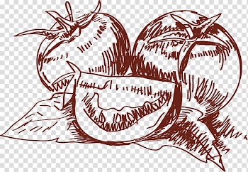 Cherry tomato Vegetable Drawing, Tomatoes sketch transparent background PNG clipart
