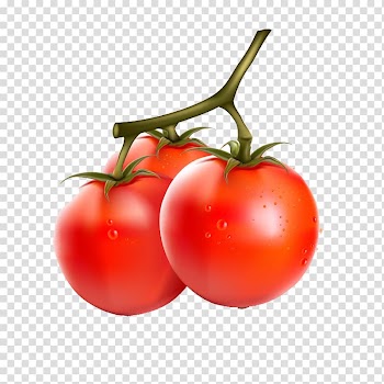 Cherry tomato Vegetable Fruit Eggplant, tomato transparent background PNG clipart