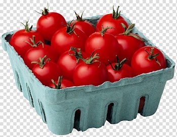 Cherry tomato Vegetable Fruit , Red tomato transparent background PNG clipart