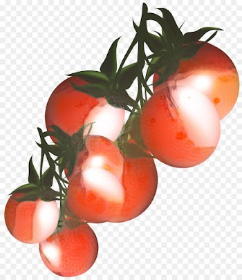 Cherry Tomato, Vegetable, Tomato Sauce, Tomato, Solanum PNG