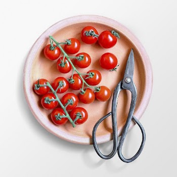 Cherry tomatoes on a plate | Free PSD - rawpixel