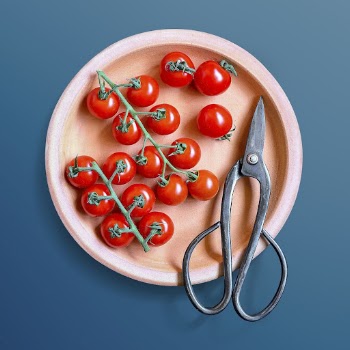 Cherry tomatoes on a plate | Free PSD - rawpixel