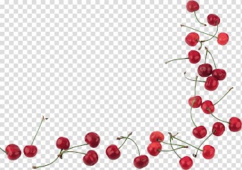 Cherry transparent background PNG clipart