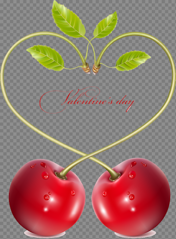 Cherry Vector
