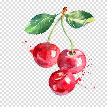 Cherry Watercolor painting Drawing, cherry transparent background PNG clipart