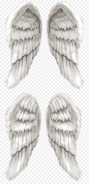 Cherub Angel wing Angel wing - wing 