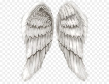 Cherub Wing Angel - Angel wings 