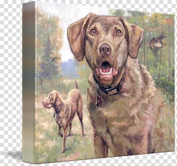 Chesapeake Bay Retriever Labrador Retriever Weimaraner Dog breed, Watercolor ship transparent background PNG clipart