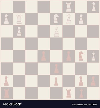 Chess poster chess background vector image