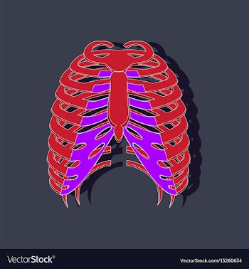 Chest thorax paper sticker on stylish background vector image