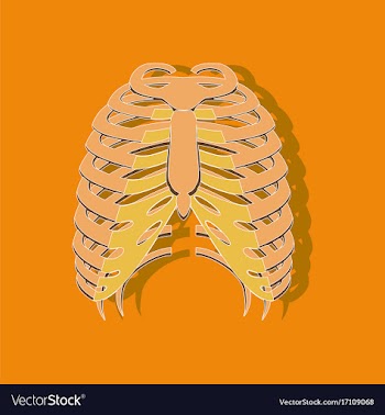 Chest thorax paper sticker on stylish background vector image