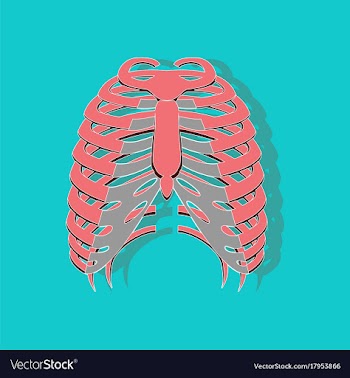 Chest thorax paper sticker on stylish background vector image