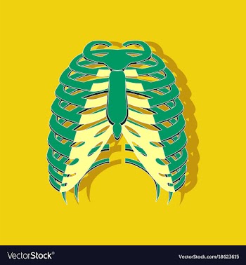 Chest thorax paper sticker on stylish background vector image