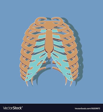 Chest thorax paper sticker on stylish background vector image