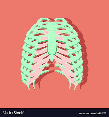 Chest thorax paper sticker on stylish background vector image