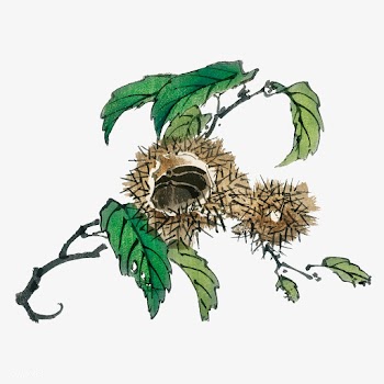 Chestnut by Kōno Bairei (1844-1895). Digital.. | Free stock vector - 467124