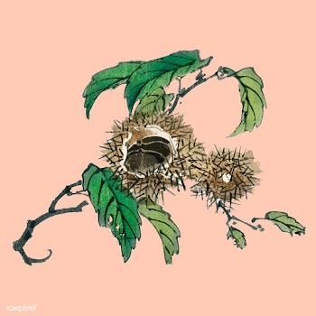 Chestnut by Kōno Bairei (1844-1895). Digital.. | Free stock vector - 467130