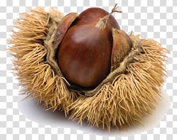 Chestnut cream Fruit Jam Publishing, others transparent background PNG clipart