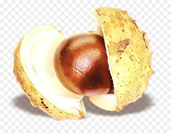 chestnut food nut ingredient junk food