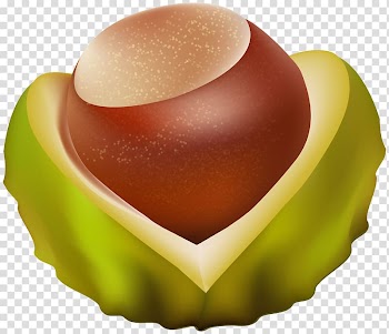 Chestnut , minnie mouse transparent background PNG clipart