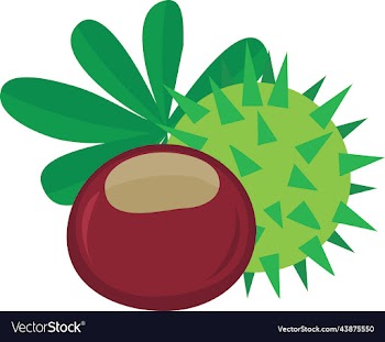 chestnut with shell and leaves