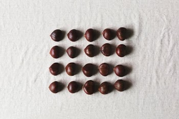 Chestnuts Lined Up In A Flatlay