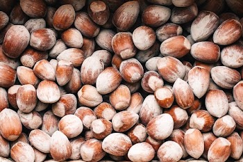 Chestnuts Texture