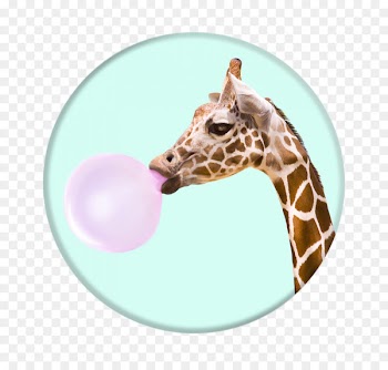 Chewing gum Bubble gum Mobile Phones PopSockets - chewing gum 