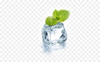 Chewing gum Mint Flavor Menthol Electronic cigarette aerosol and liquid - Mint ice cubes 