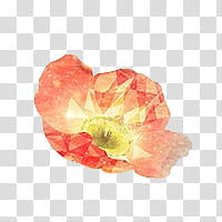 CHI PAO, red and beige abstract illustration transparent background PNG clipart
