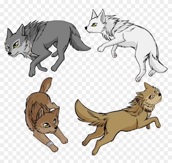 Chibi Wolf - Photo - Chibi Wolfs Rain