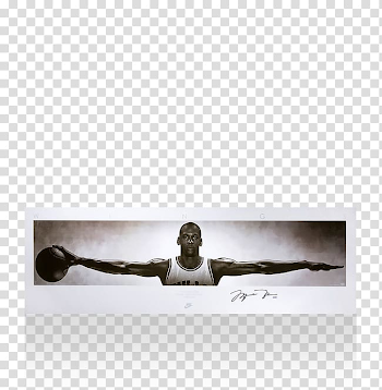 Chicago Bulls The NBA Finals Nike Basketball, michael jordan ...