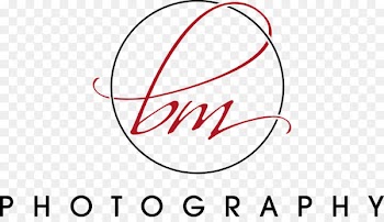 Chicago Photographic film Photography Wedding Photographer - wedding 