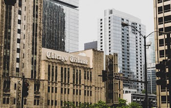 Chicago Tribune Building Near Green Leaf Tree at Daytime