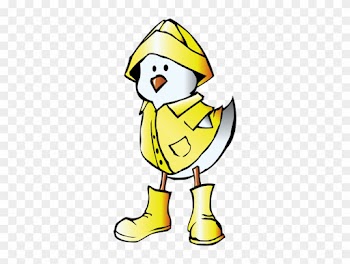 Chicken And Raincoat - Baby Chick In Raincoat Shower Curtain